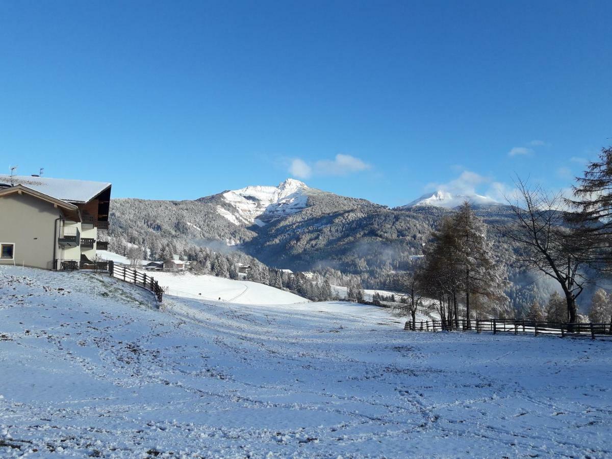 Residence Scheidnerhof Aldino Dış mekan fotoğraf